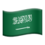 🇸🇦